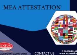 What is MEA Attestation? Procedure and required documents for its completion?