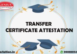 What is the process of getting Transfer Certificate Attestation?