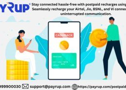 Access All Networks, One Solution: PayRup for Airtel, Jio, BSNL, Vi Recharge!