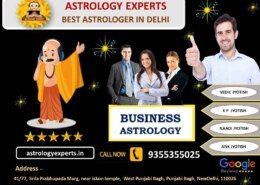 Who's Best astrologer in Delhi NCR?
