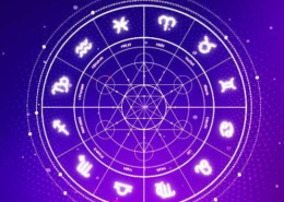 How can an Astrologer For Business help you achieve success and growth in your professional life?
