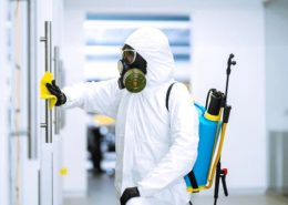 Pest Control Company in Qatif