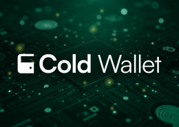 What is the best way to invest in a cold wallet for long-term cryptocurrency security?